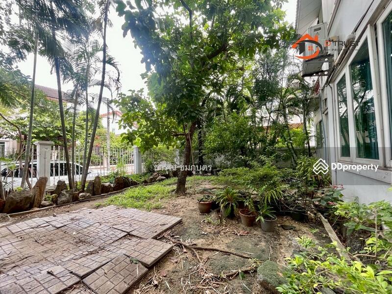 For Sale - นริศา, Bangkok