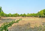 ที่ดินนาราชควาย นครพนม, นครพนม