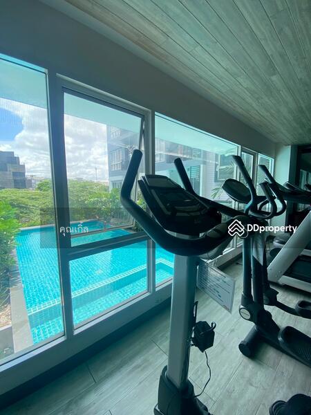ขาย - Vio Khaerai : ไวโอ แคราย, นนทบุรี