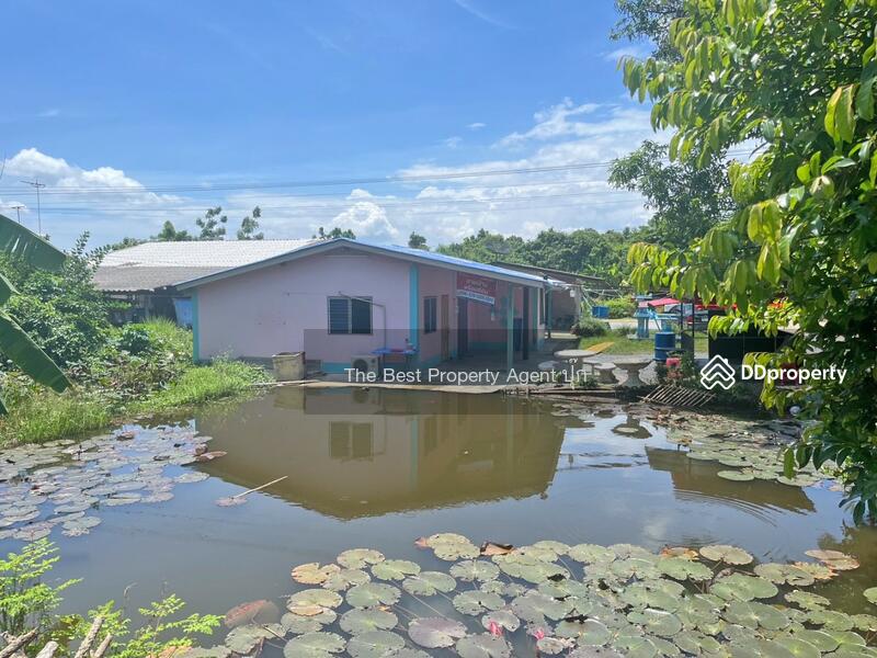 ขาย - บ้านเดี่ยวกำแพงแสน นครปฐม, นครปฐม