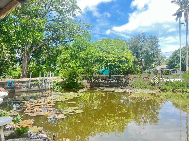 ขาย - บ้านเดี่ยวกำแพงแสน นครปฐม, นครปฐม