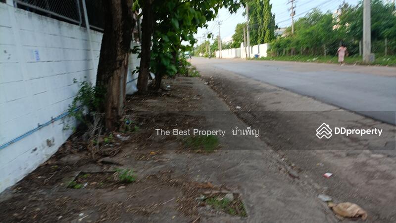 ขาย - ที่ดินนาดี สมุทรสาคร, สมุทรสาคร