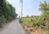 ขายที่ดินหนองหงษ์ พานทอง 8 ไร่ ติดถนนคอนกรีต ใกล้ถนนเส้นชบ.3023-2กม. - DDproperty.com