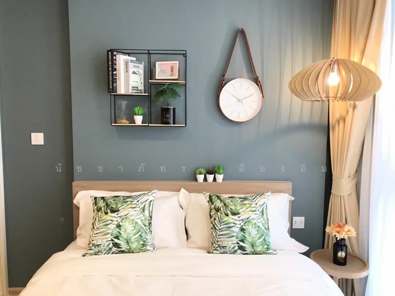 Chambers On-Nut Station, Bangkok, Soi Sukhumvit 81, Sukhumvit Road, Phra Kanong Nua, Watthana, Bangkok, 1 Bedroom, 28 sqm, Condo For Rent, by Nutchaphat iang-im, 11915839 - DDproperty.com