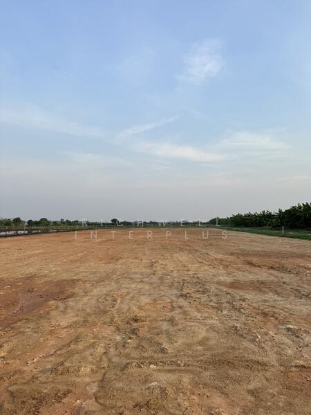 ขาย - ขายที่ดินบางเตย วังตะเคียนถมแล้ว 2 ไร่ ใกล้โรบินสันแปดริ้ว-10กม., ฉะเชิงเทรา