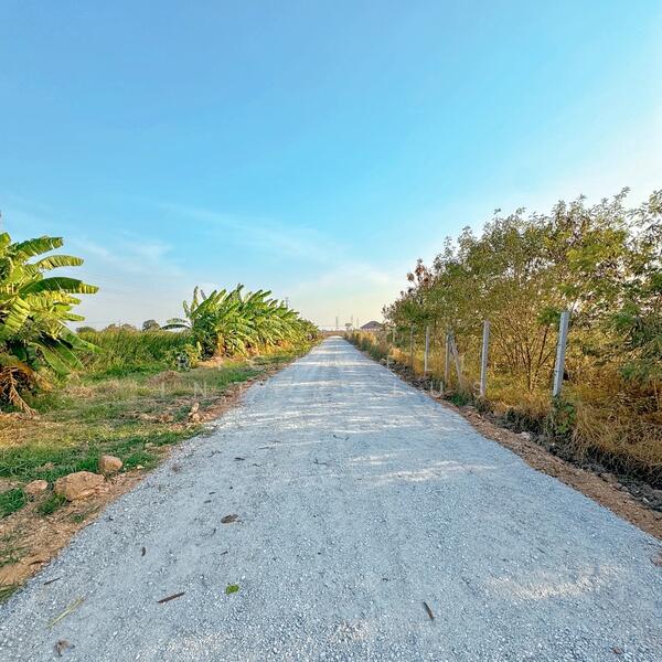 ขาย - ขายที่ดินบางเตย วังตะเคียนถมแล้ว 2 ไร่ ใกล้โรบินสันแปดริ้ว-10กม., ฉะเชิงเทรา