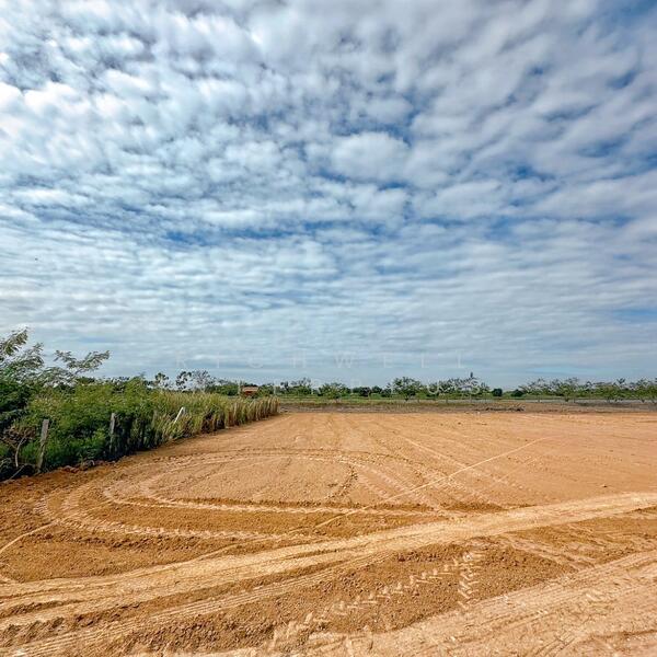 ขาย - ขายที่ดินบางเตย วังตะเคียนถมแล้ว 2 ไร่ ใกล้โรบินสันแปดริ้ว-10กม., ฉะเชิงเทรา