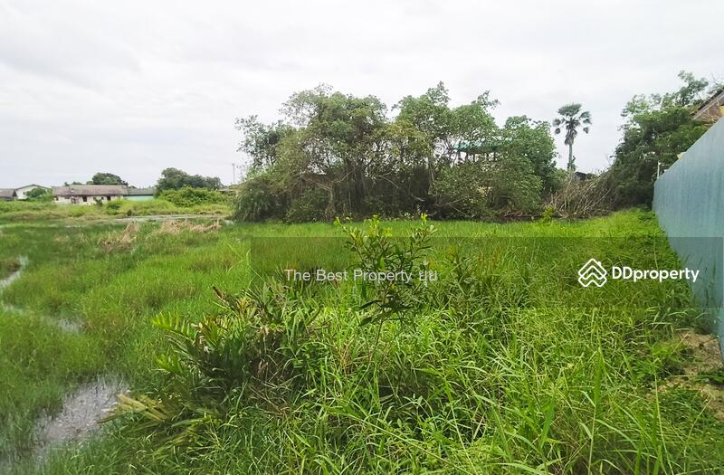 ขาย - ที่ดินบางกะจะ จันทบุรี, จันทบุรี