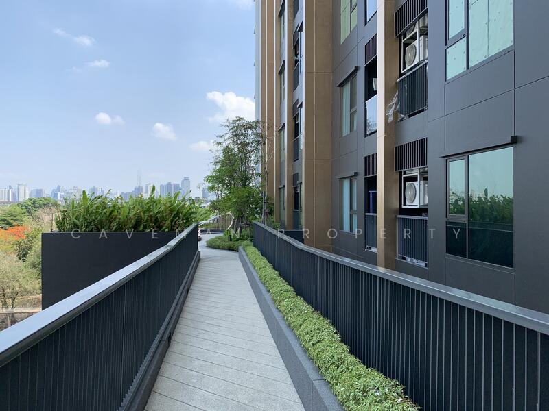 Life Sukhumvit 62, Bangkok, Soi Sukhumvit 62, Bang Chak, Phra Khanong, Bangkok, 1 Bedroom, 30 sqm, Condo For Rent, by Caveman Property, 11917193 - DDproperty.com