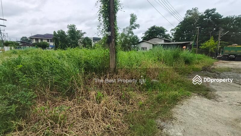 ขาย - ที่ดินวัดใหม่ จันทบุรี, จันทบุรี