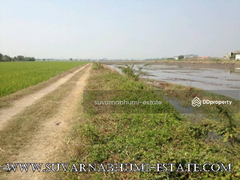 ขาย - ที่ดินลำลูกกา คลอง 6, ปทุมธานี