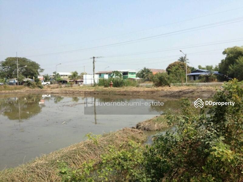 ขาย - ที่ดินลำลูกกา คลอง 6, ปทุมธานี