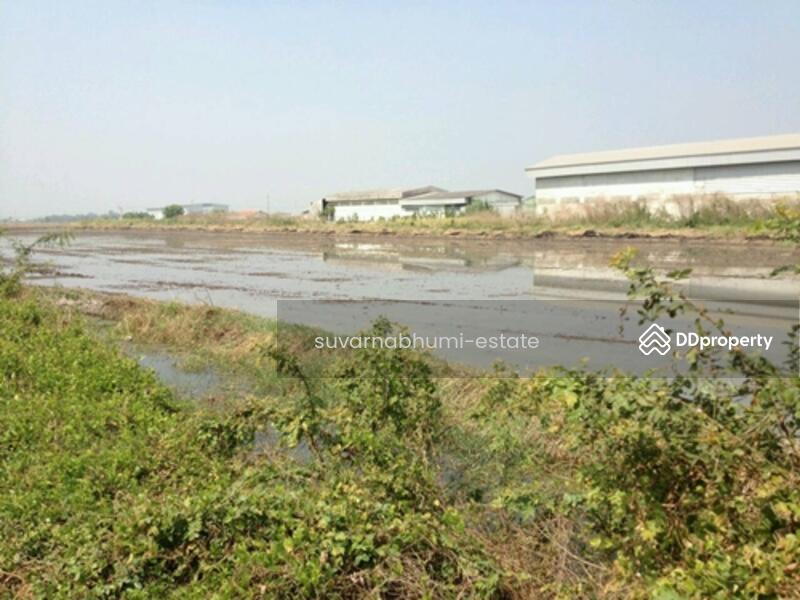ขาย - ที่ดินลำลูกกา คลอง 6, ปทุมธานี