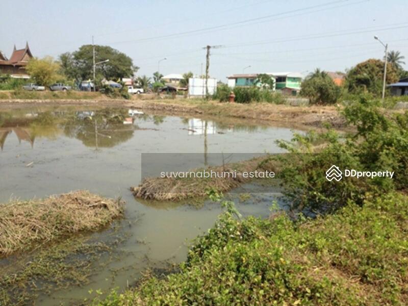ขาย - ที่ดินลำลูกกา คลอง 6, ปทุมธานี