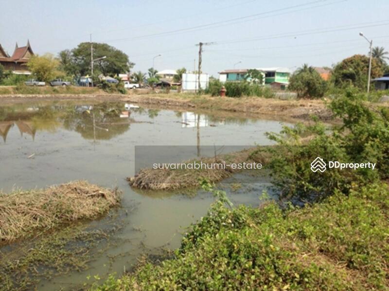 ขาย - ที่ดินลำลูกกา คลอง 6, ปทุมธานี