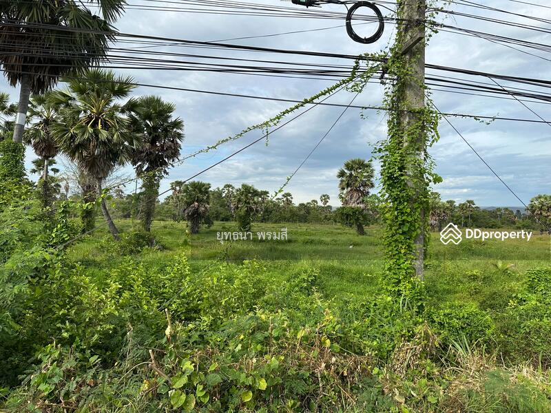 For Sale - ที่ดินเปล่า, Phetchaburi