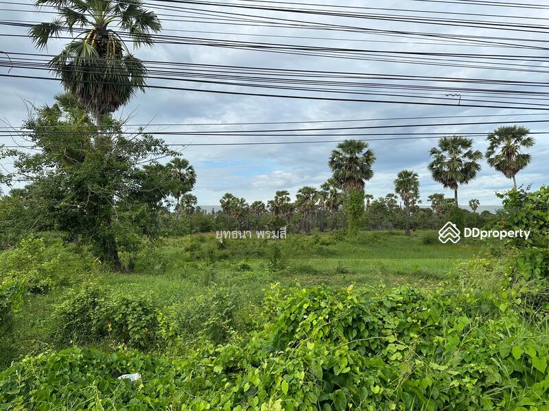 For Sale - ที่ดินเปล่า, Phetchaburi