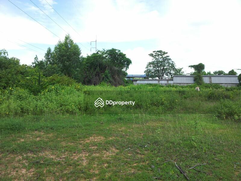 ที่ดิน ติดทางหลวงสายบรบือ-วาปีปทุม(2063) ห่างปั๊มปตท. 100 ม., มหาสารคาม, บรบือ-วาปีปทุม (2063), บรบือ, บรบือ, มหาสารคาม, 5,736 ตร.ม., ที่ดิน ขาย, โดย ธีระชัย อ., 1417831 - DDproperty.com