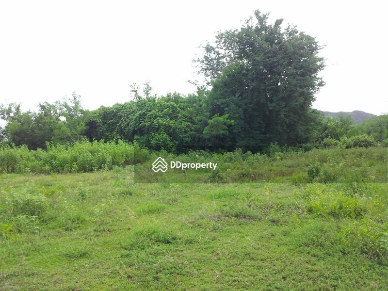 Land adjacent to the Borabue-Wapi Pathum Highway (2063), 100 m from PTT gas station, Maha Sarakham, บรบือ-วาปีปทุม (2063), Borabu, Maha Sarakham, , 5,736 sqm, Land For Sale, by ธีระชัย อมรเพชรสถาพร, 1417831 - DDproperty.com