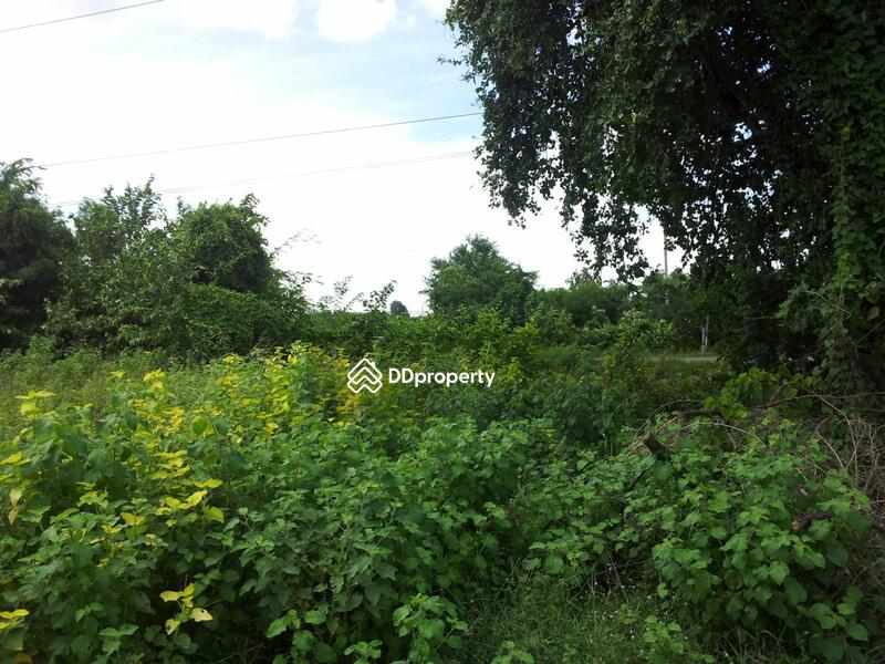 Land adjacent to the Borabue-Wapi Pathum Highway (2063), 100 m from PTT gas station, Maha Sarakham, บรบือ-วาปีปทุม (2063), Borabu, Maha Sarakham, , 5,736 sqm, Land For Sale, by ธีระชัย อมรเพชรสถาพร, 1417831 - DDproperty.com