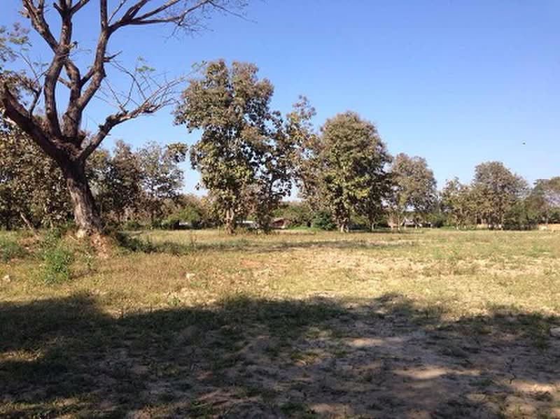 ขายที่ดินริมกก 4 ไร่ โฉนดพร้อม อ.เมือง จ.เชียงราย, Chiang Rai, Rim Kok, Muang Chiang Rai, Chiang Rai, , 6,400 sqm, Land For Sale, by ภรภัทร ., 1432876 - DDproperty.com