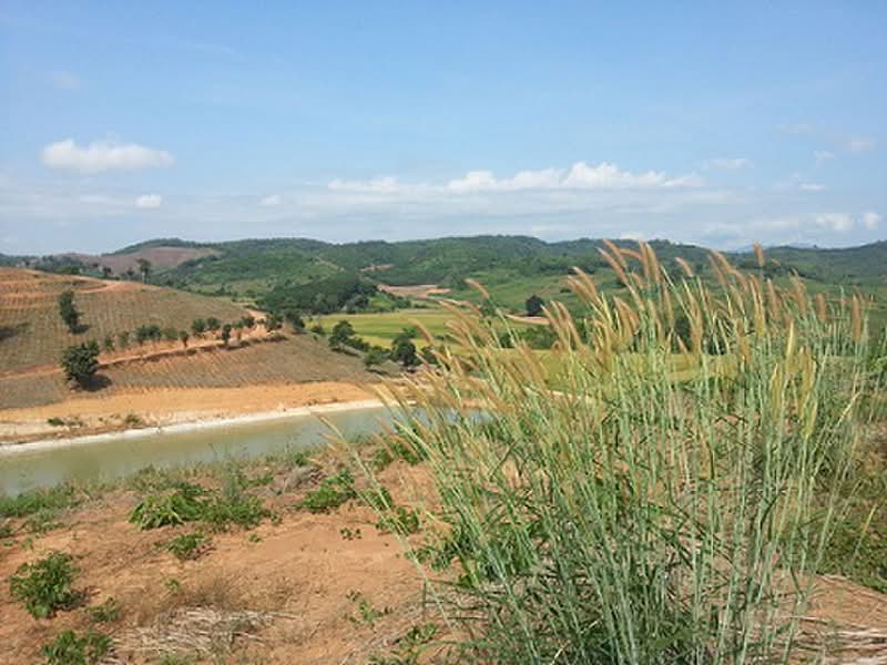 ขายที่ดินเชียงแสน 103 ไร่ ใกล้สามเหลี่ยมทองคำ ภูเขาล้อมรอบ, Chiang Rai, Wiang, Chiang Saen, Chiang Rai, , 165,404 sqm, Land For Sale, by ภรภัทร ., 1433648 - DDproperty.com