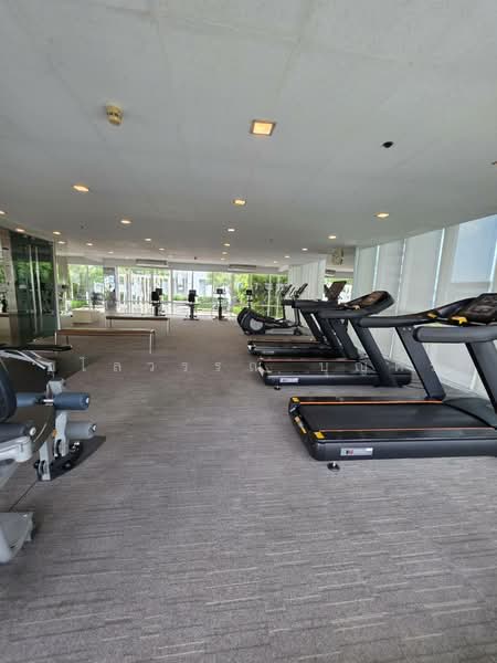 IDEO Verve Sukhumvit, Bangkok, 2077 Sukhumvit Road, Phra Kanong Nua, Watthana, Bangkok, 1 Bedroom, 31 sqm, Condo For Rent, by Ulaiwan Boonsiri, 1443171 - DDproperty.com