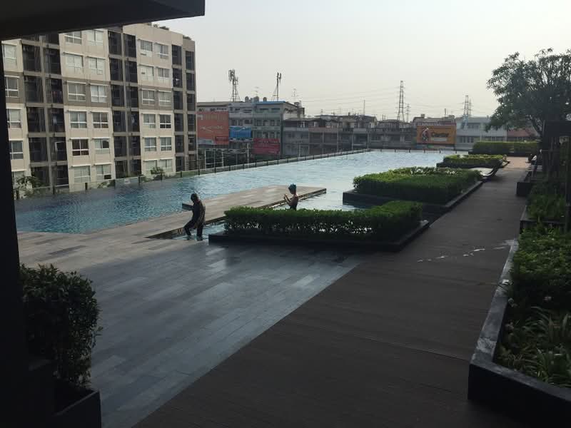 ฟิวส์ เซนเซ่ บางแค, Bangkok, Bang Khae, Bangkok, Studio, 25 sqm, Condo For Rent, by สรพล ธีรคุณวิศิษฎ์, 1522118 - สระว่ายน้ำส่วนกลาง - DDproperty.com