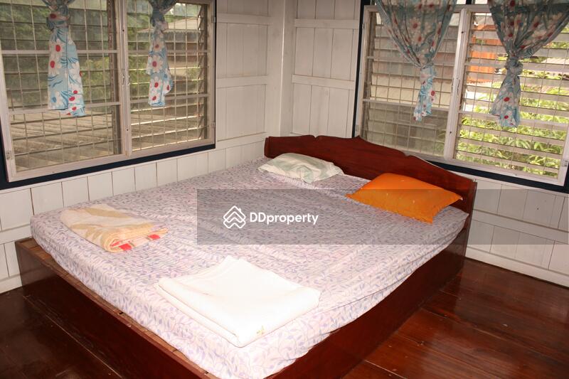 For Sale - For Sale, Chiang Mai