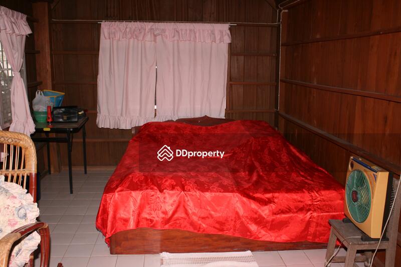 For Sale - For Sale, Chiang Mai