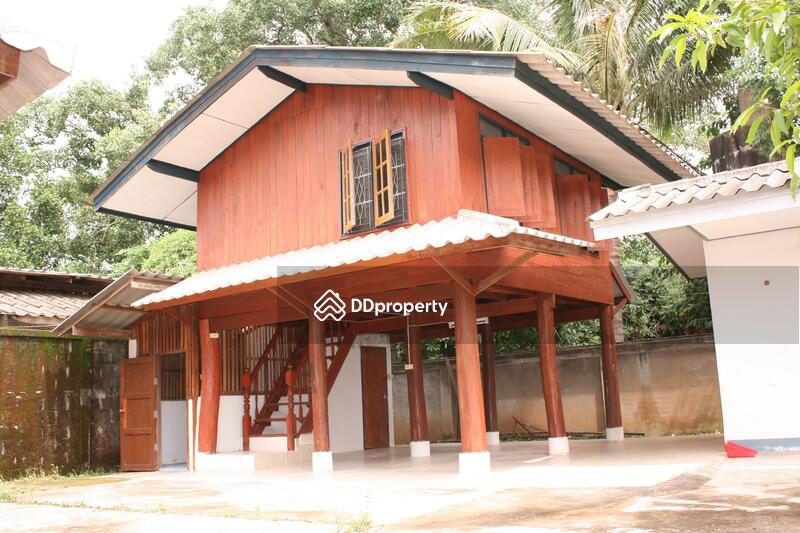 For Sale - For Sale, Chiang Mai