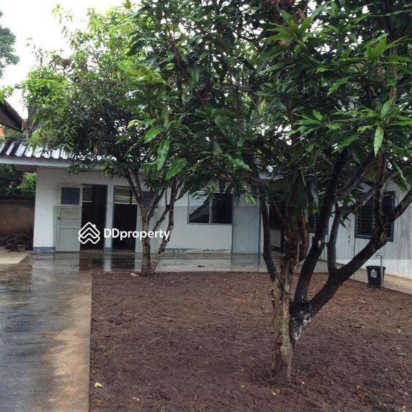 For Sale - For Sale, Chiang Mai