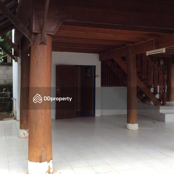 For Sale - For Sale, Chiang Mai