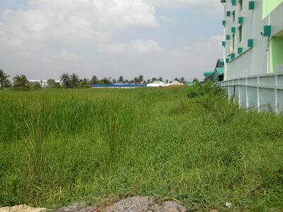 ขาย - Bang Bon land on Ekkachai road near Suksanari School area 8-1-72 Rais Sale 24.6 Million Bath per Rai, กรุงเทพ