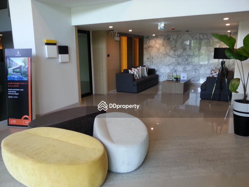ขาย - Dcondo Campus Resort Bangsaen : ดีคอนโด แคมปัส รีสอร์ท บางแสน, ชลบุรี