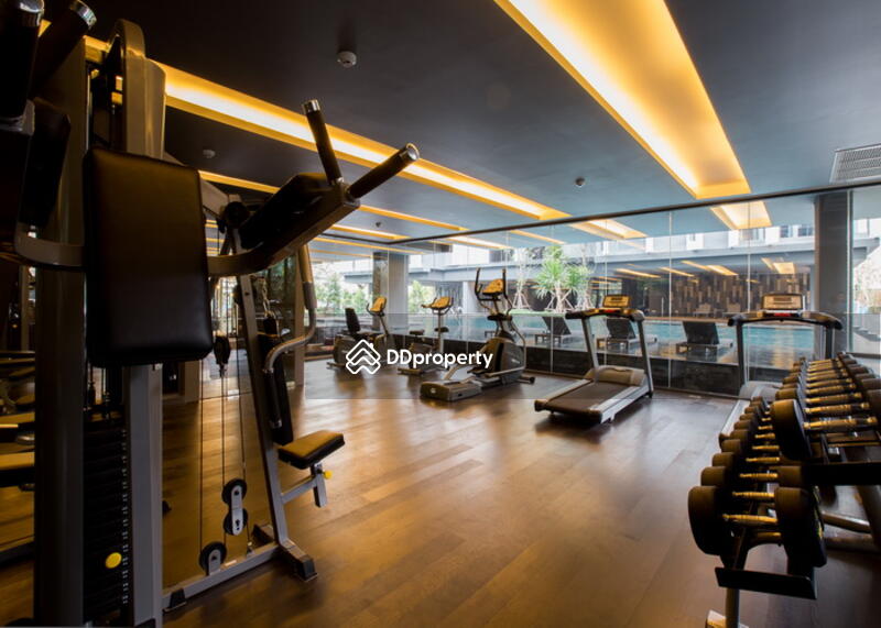 Siamese Gioia, Bangkok, Sukhumvit 31 Road, Khlong Tan Nua, Watthana, Bangkok, 1 Bedroom, 50 sqm, Condo For Rent, by Khun Sujira, 1951088 - DDproperty.com