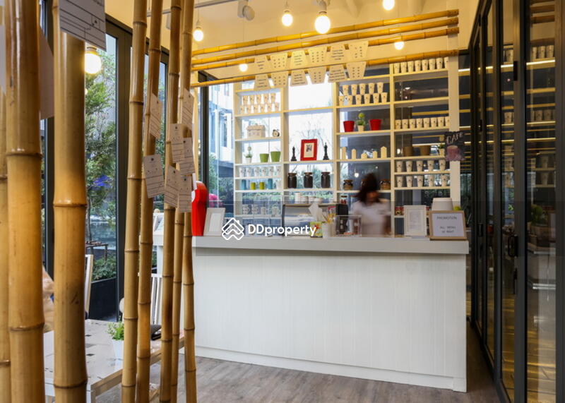 Siamese Gioia, Bangkok, Sukhumvit 31 Road, Khlong Tan Nua, Watthana, Bangkok, 1 Bedroom, 50 sqm, Condo For Rent, by Khun Sujira, 1951088 - DDproperty.com