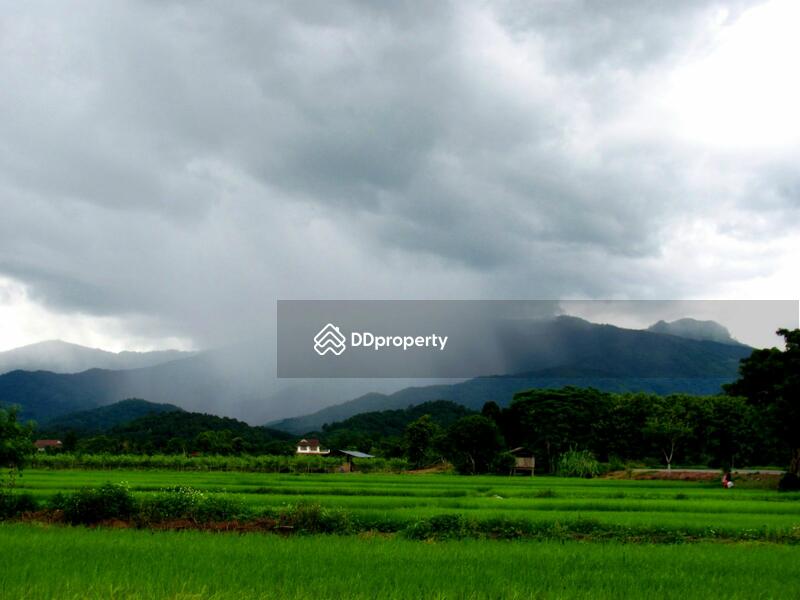 rainstorm on Doi (mountain) Chang