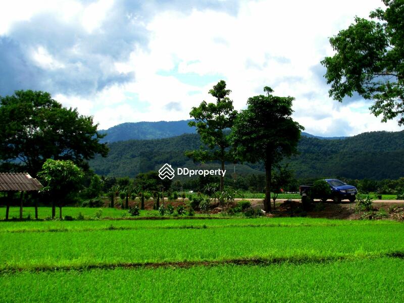 view from land looking towards the road