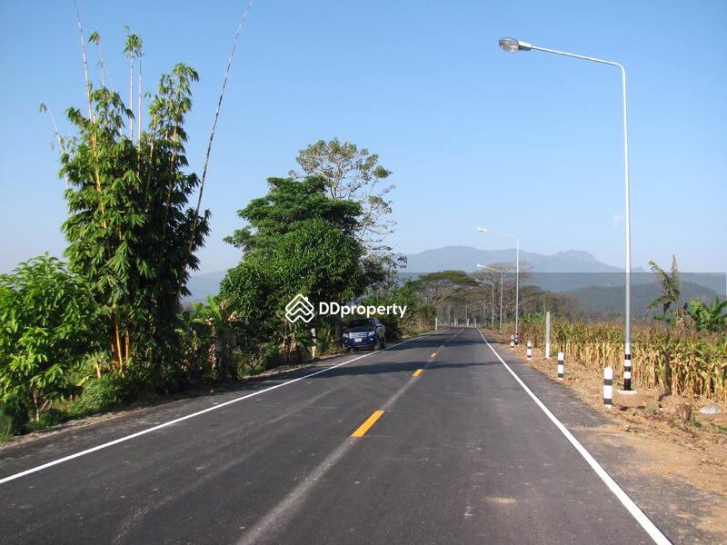 road #1046 that borders the land