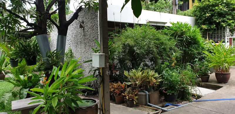 บ้านเดี่ยวชั้นเดียวย่านเพลินจิตให้เช่า 40,000/ด, กรุงเทพ, Sukhumvit, ทุ่งมหาเมฆ, สาทร, กรุงเทพ, 100 ตร.ม., บ้านเดี่ยว ให้เช่า, โดย Ratana Chatthinawat, 2119916 - DDproperty.com