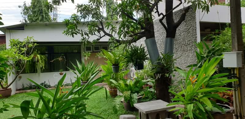บ้านเดี่ยวชั้นเดียวย่านเพลินจิตให้เช่า 40,000/ด, กรุงเทพ, Sukhumvit, ทุ่งมหาเมฆ, สาทร, กรุงเทพ, 100 ตร.ม., บ้านเดี่ยว ให้เช่า, โดย Ratana Chatthinawat, 2119916 - DDproperty.com