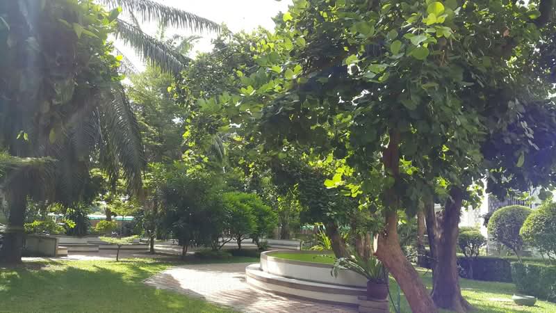 คอนโดบ้านสวนธนรัตนาธิเบศร์, นนทบุรี, Soi Mu Ban Suan Thon Park Gallery, บางกระสอ, เมืองนนทบุรี, นนทบุรี, 50 ตร.ม., คอนโด ให้เช่า, โดย waraporn chanapha, 214037 - DDproperty.com