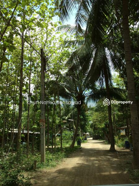 For Rent - บ้านเลขที่ 97, Phetchaburi