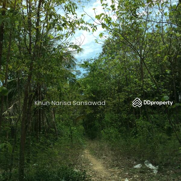 For Rent - บ้านเลขที่ 97, Phetchaburi