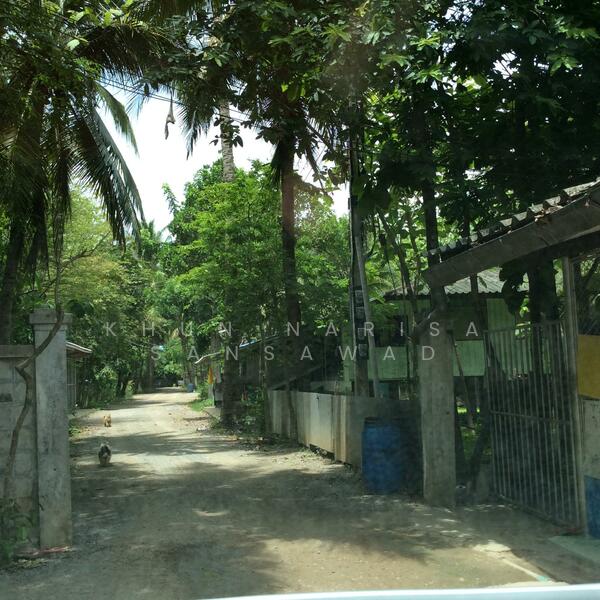 For Rent and For Sale, Phetchaburi, 97, Chong Sakae, Muang Phetchaburi, Phetchaburi, 10+ Bedrooms, 23,036 sqm, Single Detached House For Rent, by Khun Narisa Sansawad, 2283044 - DDproperty.com