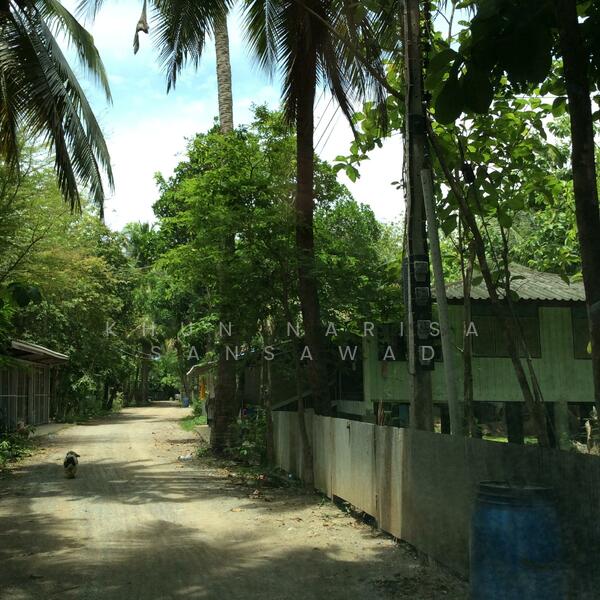 For Rent and For Sale, Phetchaburi, 97, Chong Sakae, Muang Phetchaburi, Phetchaburi, 10+ Bedrooms, 23,036 sqm, Single Detached House For Rent, by Khun Narisa Sansawad, 2283044 - DDproperty.com