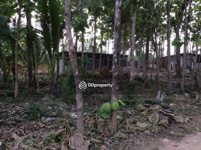 For Rent - บ้านเลขที่ 97, Phetchaburi
