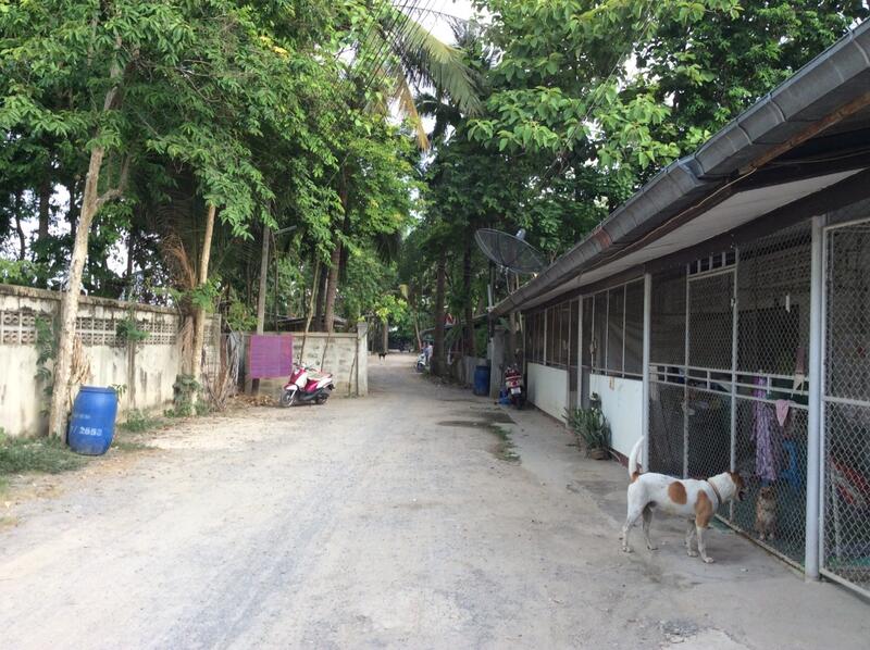 For Rent and For Sale, Phetchaburi, 97, Chong Sakae, Muang Phetchaburi, Phetchaburi, 10+ Bedrooms, 23,036 sqm, Single Detached House For Rent, by Khun Narisa Sansawad, 2283044 - DDproperty.com