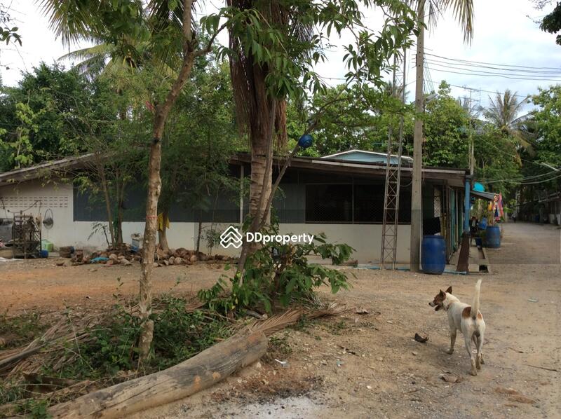 For Rent - บ้านเลขที่ 97, Phetchaburi
